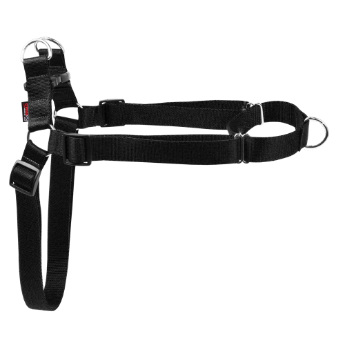 SZELKI TAŚMA EASY WALK 30mm/75-125cm "120" CZAR.