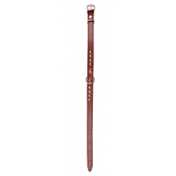 OBROŻA SKÓRZANA ĆWIEK 16mm/40cm BRĄZOWA