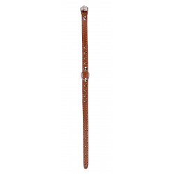 OBROŻA SKÓRZANA ĆWIEK 10mm/27cm BRĄZOWA