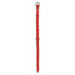 OBROŻA SKÓRZANA ĆWIEK 18mm/43cm CZERWONA