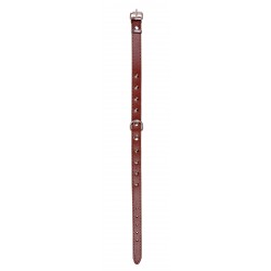 OBROŻA SKÓRZANA ĆWIEK 18mm/43cm BRĄZOWA