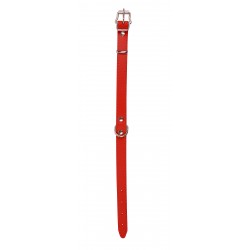 OBROŻA SKÓRZANA 20mm/47cm CZERWONA