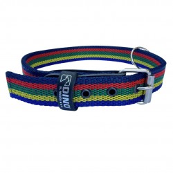 OBROŻA DO BUDY TAŚMA MICRO 25mm/40cm RAINBOW